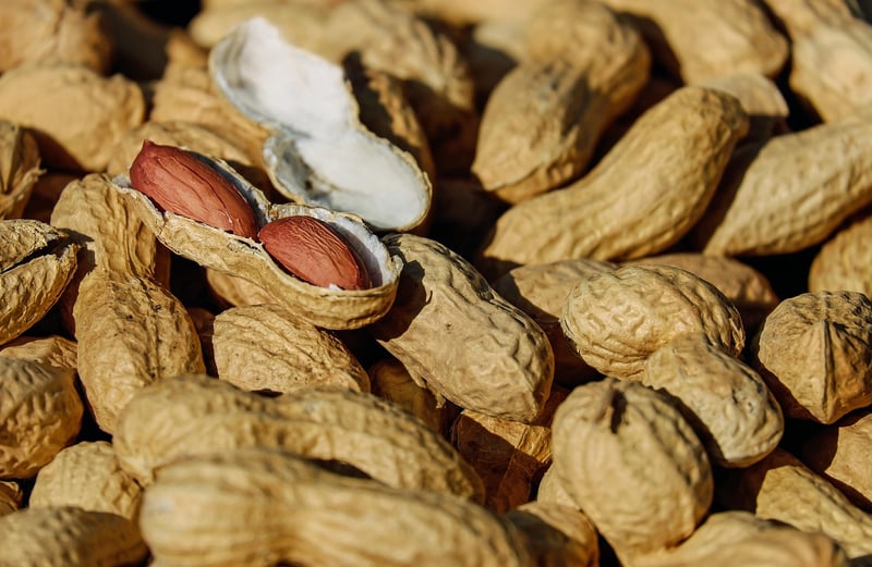 Gourmet Snacks