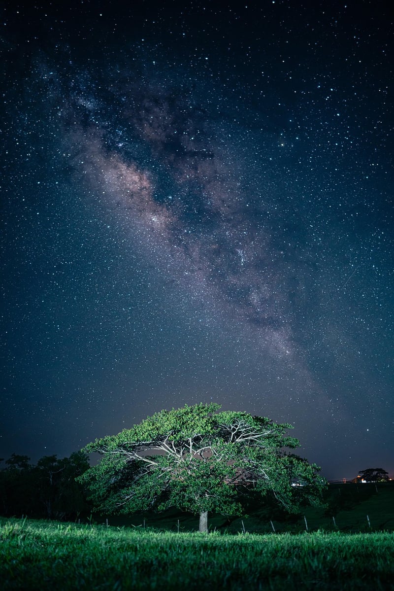 Celestial Soirée